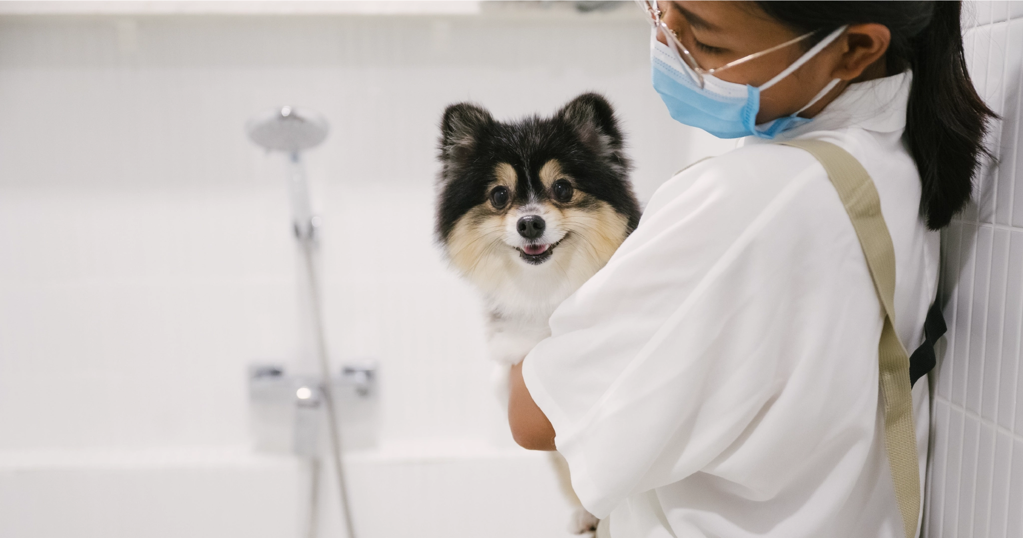 woman holding a Pomeranian in Pet-friendly condo sukhumvit