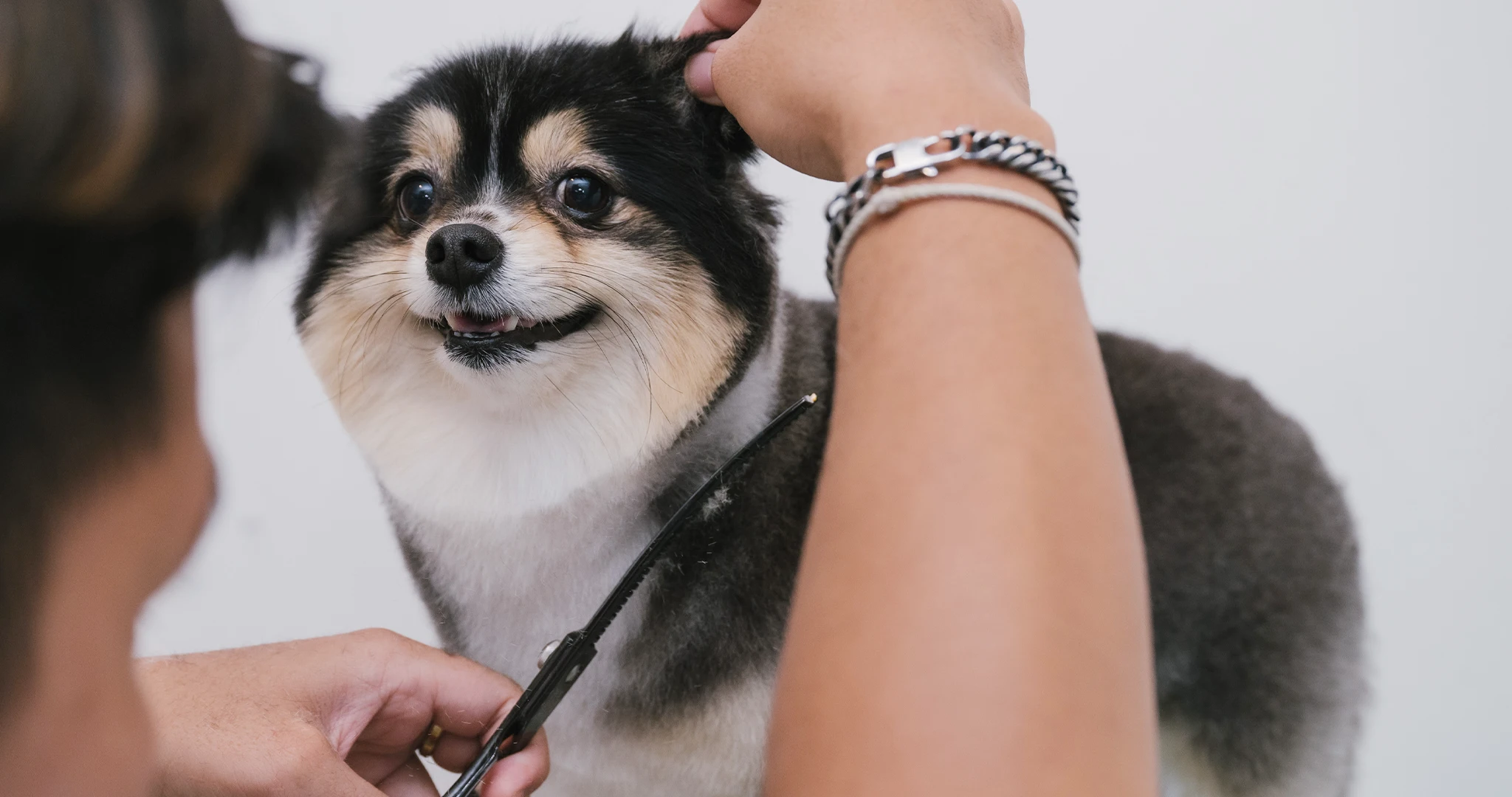pet-friendly-condo